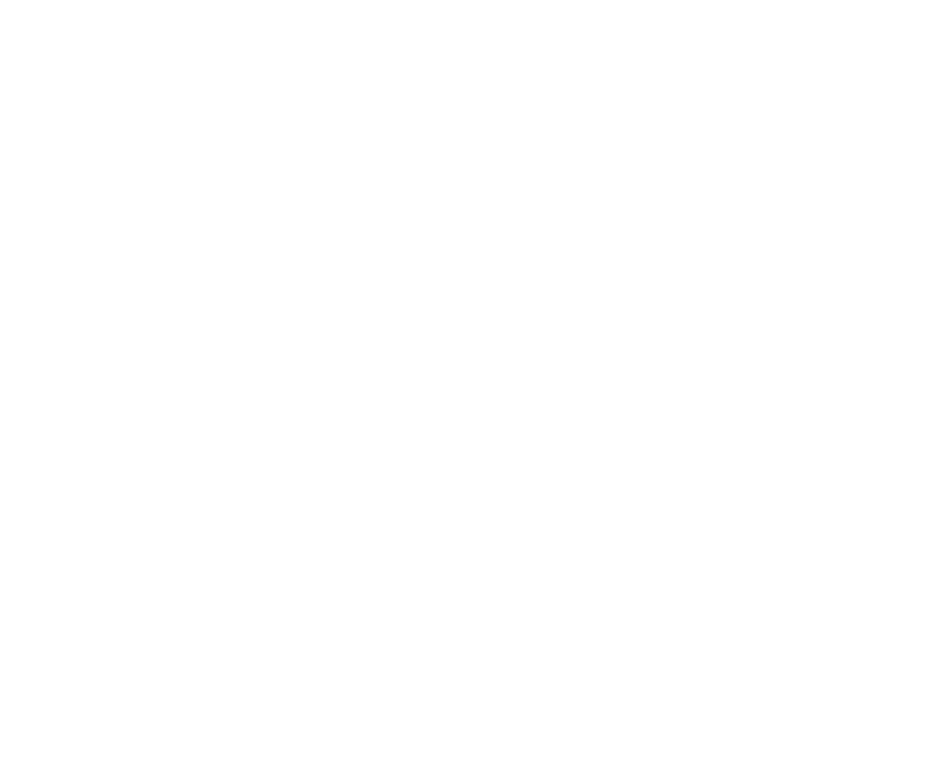 Ernst Handwerker